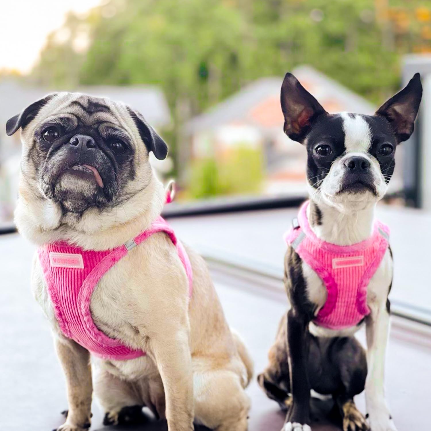 Voyager Step-in Plush Dog Vest Harness -Fuchsia Corduroy, X-Large