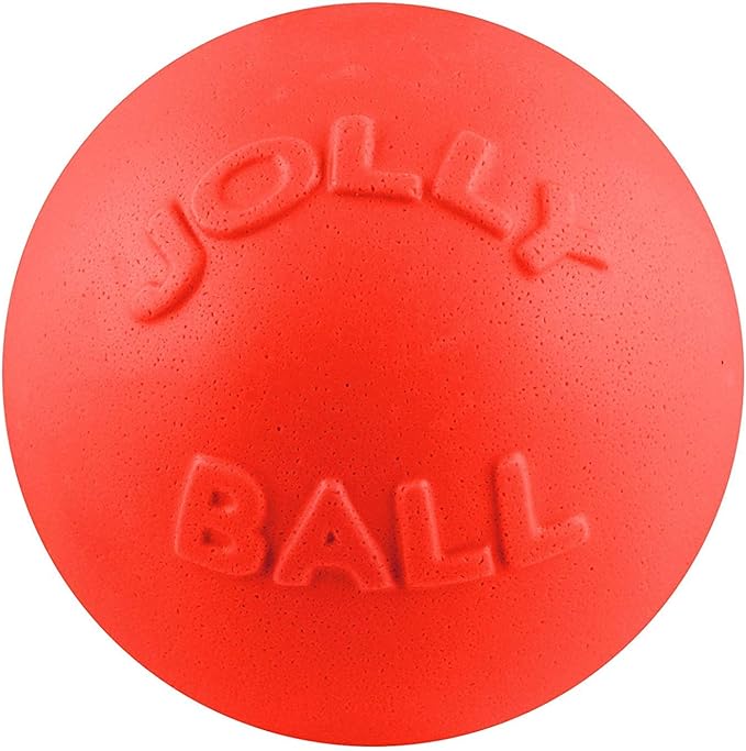 Jolly Pets Bounce-N-Play Medium Dog Ball