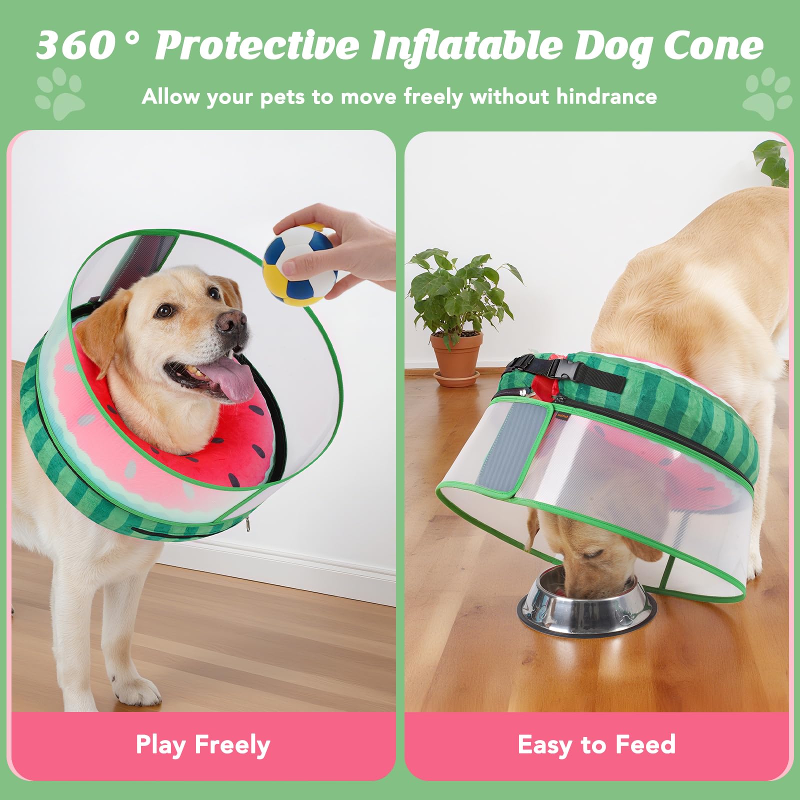 Didopet Inflatable Dog Cone with Anti-Licking Clear Shield, Fits Small Dogs