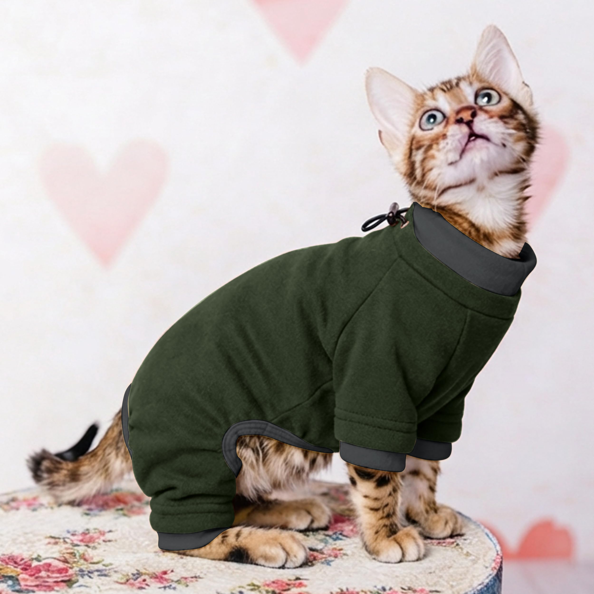 PUMYPOREITY Sticky Hair Cat Clothes, Prevent Hair Loss Cat Pajamas, Soft Cat Sweaters for Cats Only, Cat Hair Sticky Onesie, Cat Recovery Suit After Surgery, Green, XL