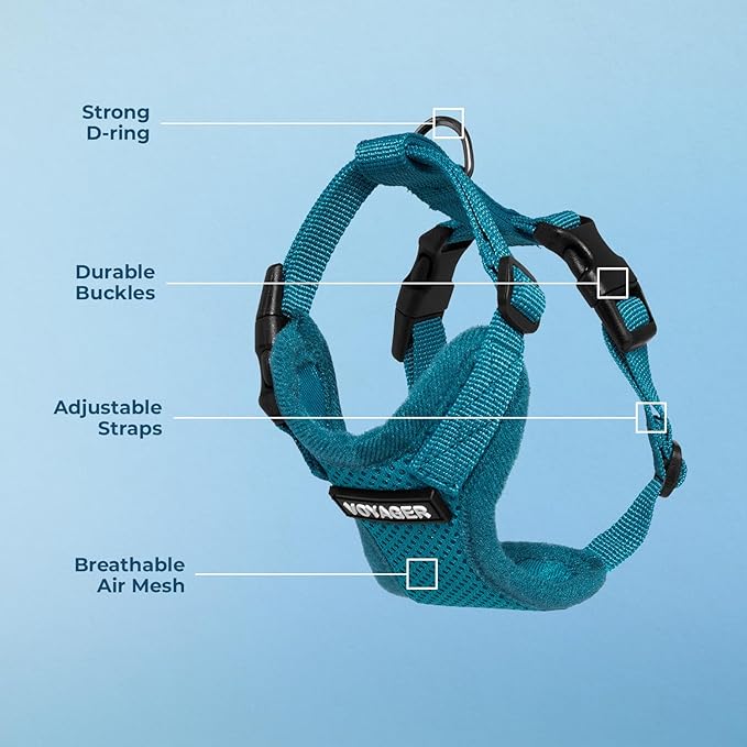 Voyager Step-in Pet Harness - All Weather Mesh, Adjustable Step in Harness for Cats and Dogs by Best Pet Supplies - Turquoise, XL