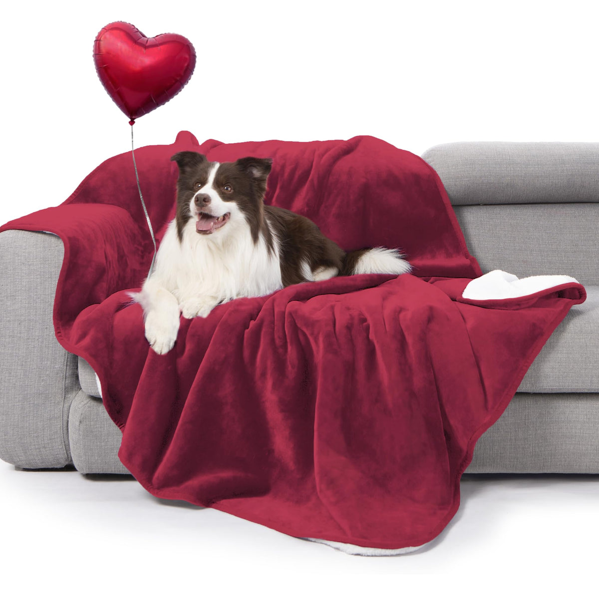 gogobunny Waterproof Bed Blanket, Reversible Sherpa Fleece Throw Blanket for Dog Puppy Cat, Furniture Cover Protects Bed Couch Sofa from Liquid Pee and Pet Fur (Cream, 90x108 inches)