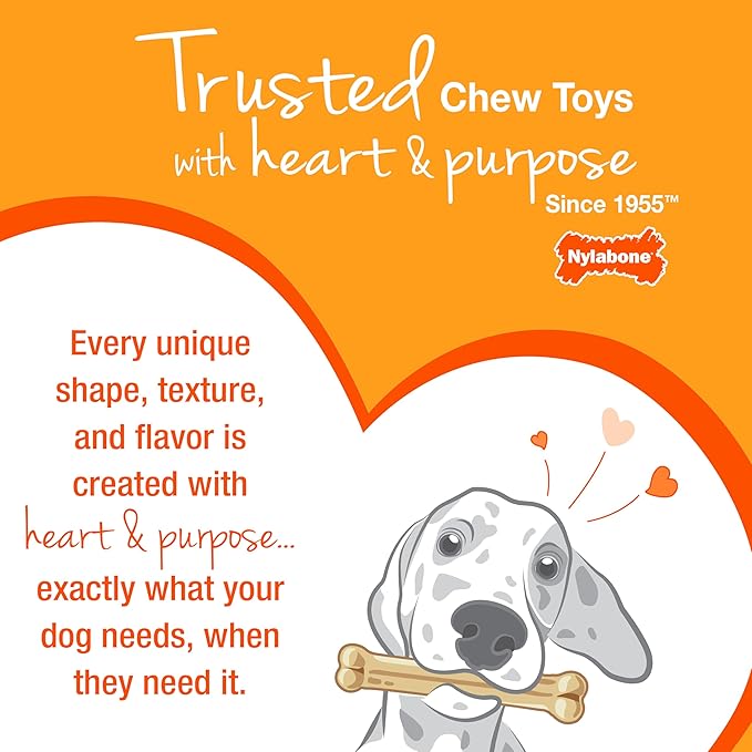 Nylabone Dental Dinosaur Puppy Power Chew Toy, Soothing Puppy Teething Bone, Enrichment Toy for Puppies, Chicken Flavor, Small Dogs - Up to 25 lbs., 1 Count