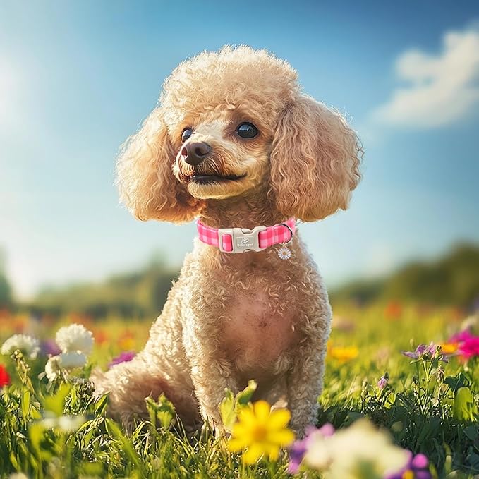 Babole Pet Girl Dog Collar for Medium Dogs - Cute Pink Plaid Puppy Collar, Soft Adjustable Spring Summer Female Dog Collars with Quick Release Buckle M