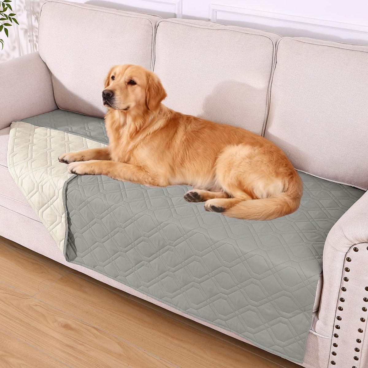 hyha Waterproof Dog Bed Blanket - Soft Pet Blanket & Sofa Cover for Dogs