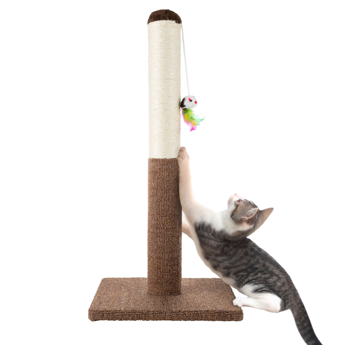 17-Inch Cat Scratching Post - Sisal Rope and Carpet Scratching Pole with Bright Pink Hanging Ball Toy for Adult Cats and Kittens by PETMAKER (Gray)