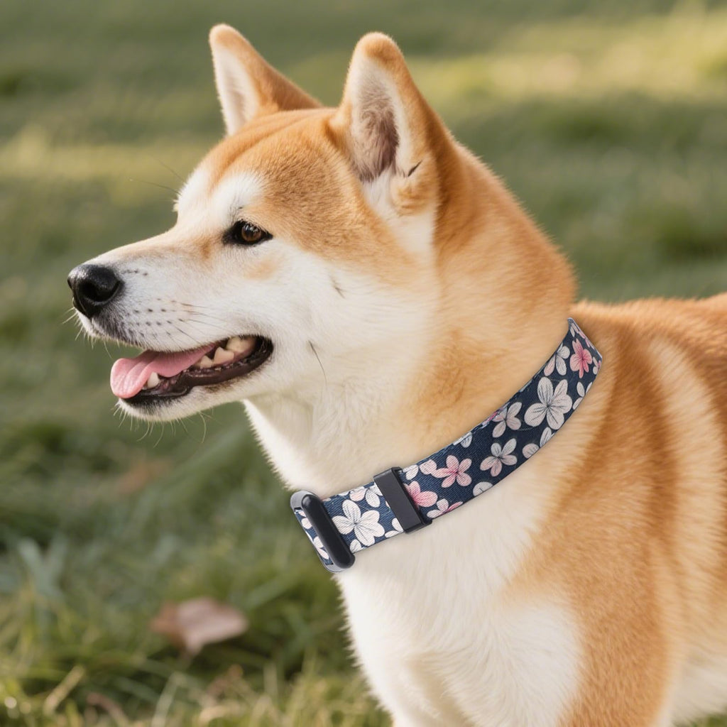 QQPETS Adjustable Soft Dog Collar: Print Flower Pink Multicolor Cute Patterns for XS Small Medium Large Pet Girl Boy Puppy Walking Running Training