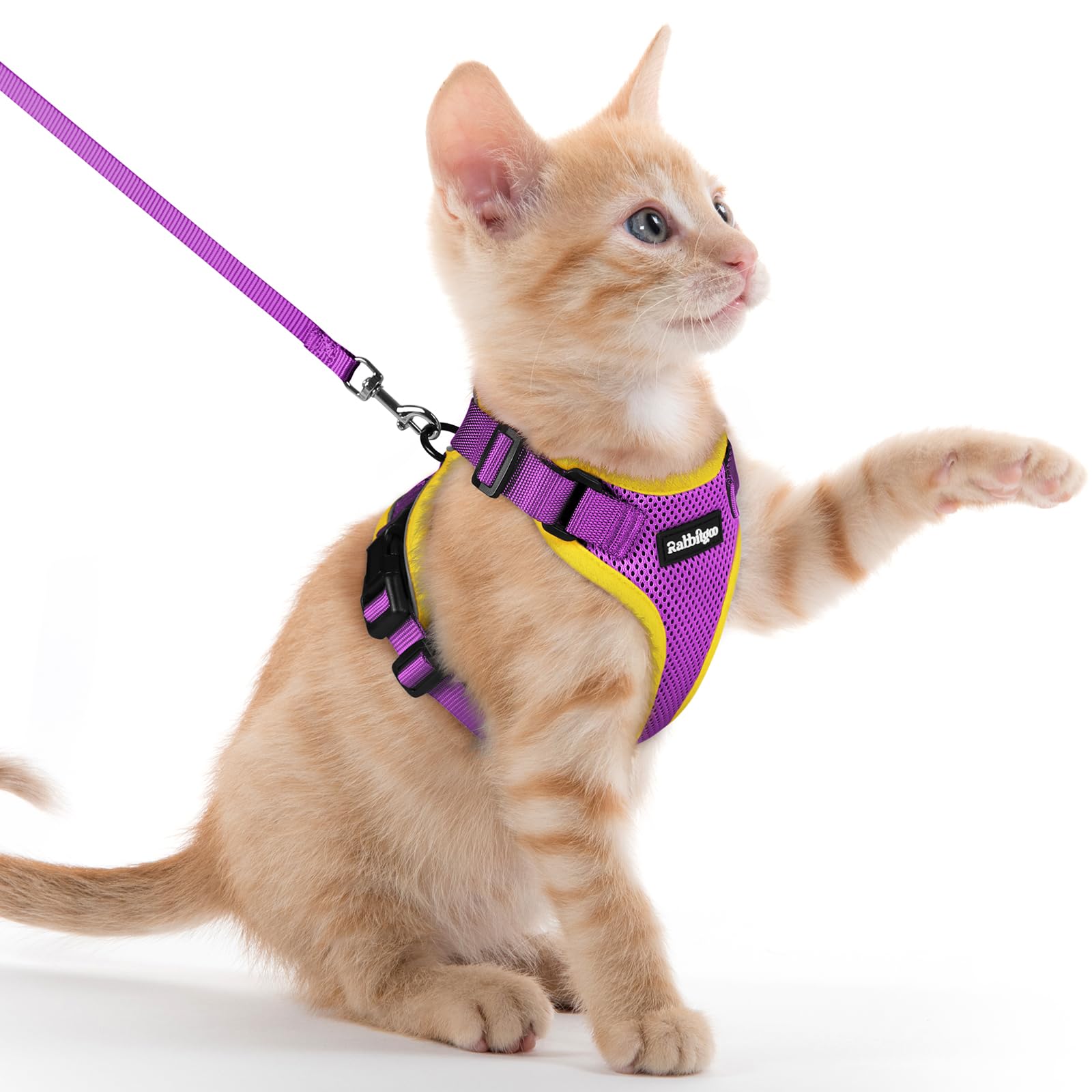 rabbitgoo Cat Harness and Leash Set, Escape Proof Vest, Emerald