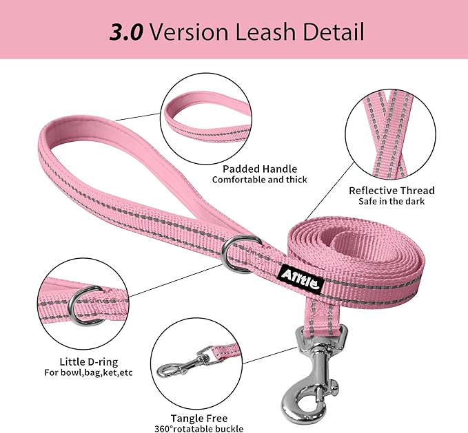 AIITLE Comfortable Dog Harness and Leash Set for Walking - Step in Vest Harness,Reflective Bands, Adjustable No Pull Puppy Essentials, for Small Dogs and House Cats Pink XS