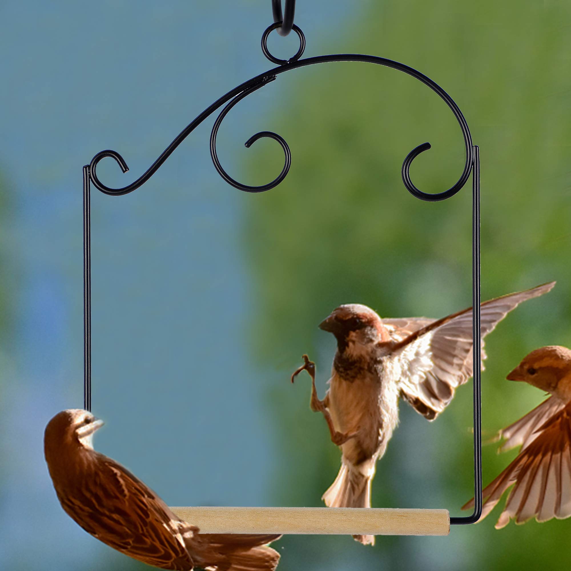 winemana Set of 3 Hummingbird Swings, Rust Resistant Metal Frame, Wooden Dowel, Attach to Bird Feeders, Perfect for Hanging Indoor Office Outdoor Trunk Lawn Patio Garden (7.5" x 5.6")