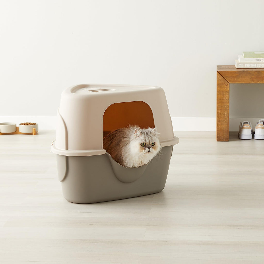 Cat Litter Box with Lid, No-Mess, Spacious Enclosed Design with Odor Control, Easy Access, Stain Resistant, 26" x 23" x 20", Charcoal