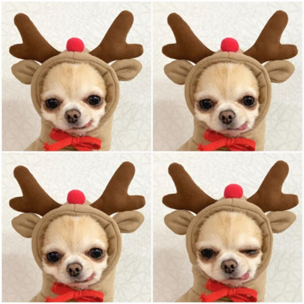 Maruomiki Warm Dog Winter Clothes Cute Dog Coat Hoodie, Coffee, XXL
