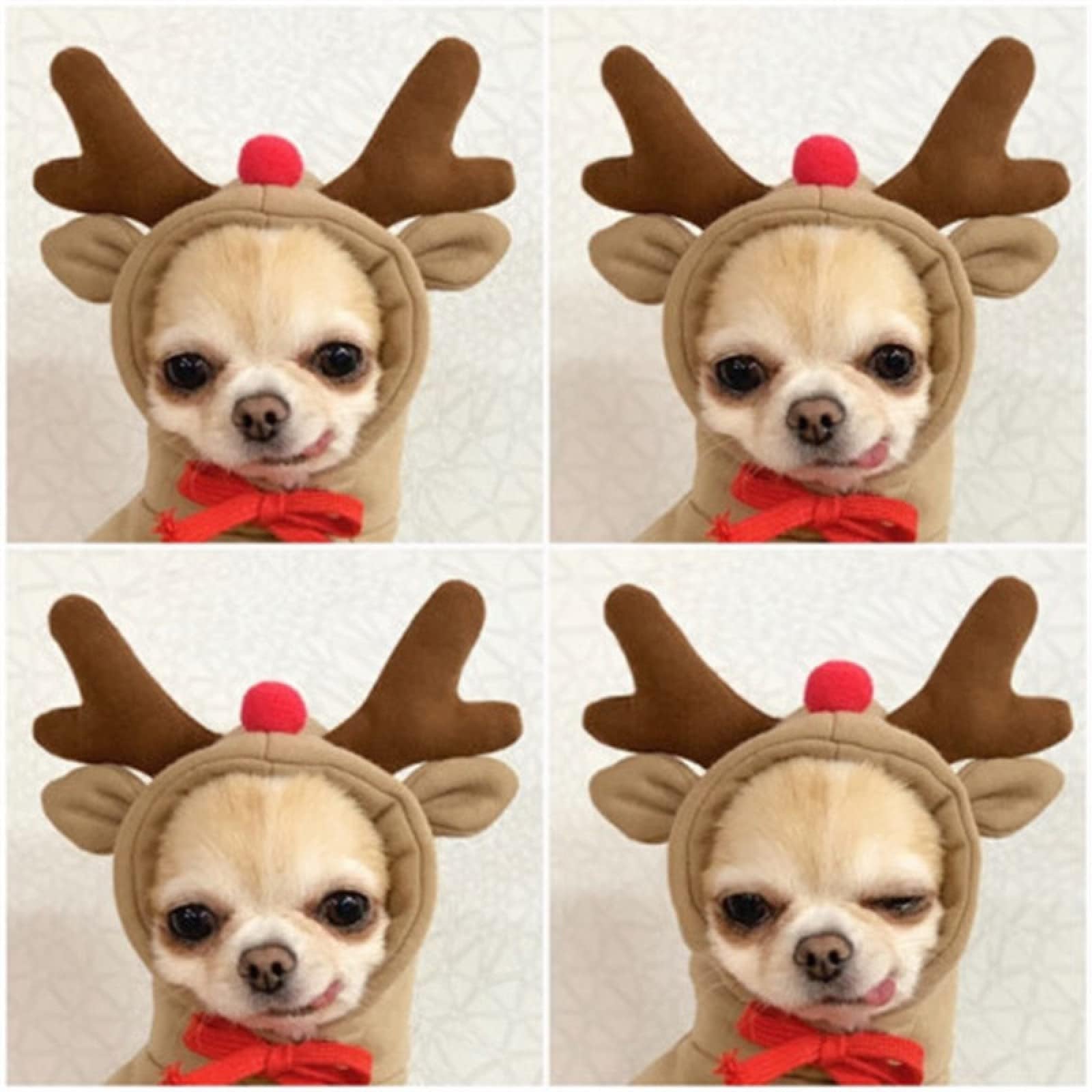 Maruomiki Warm Dog Winter Clothes Cute Dog Coat Hoodie, Coffee, XXL