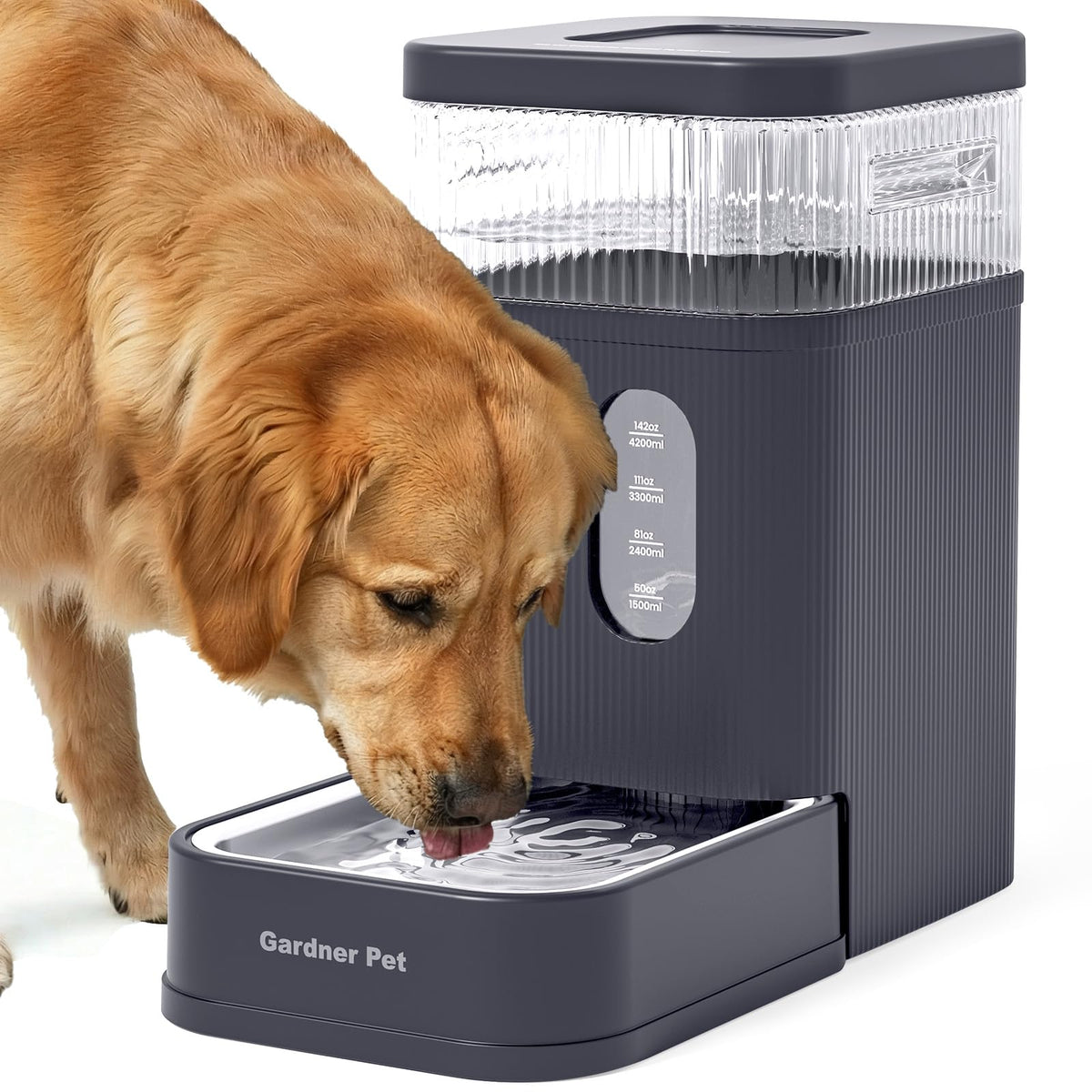 1.7 Gallon Automatic Dog Water Dispenser with Stainless Steel Bowl