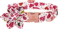 Lionheart Glory Heart Dog Collar, Valentine's Day Dog Collars with Flower, Cute Floral Pattern Pet Collars Adjustable Collar for X-Small Dogs