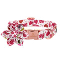 Lionheart Glory Heart Dog Collar, Valentine's Day Dogs Collar with Flower, Cute Floral Pattern Pet Collars Adjustable Dog Collars for Large Dogs