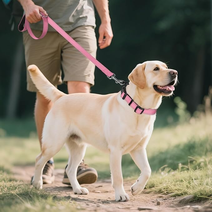 Joytale Reflective Dog Collar, Adjustable Neoprene Padded, Pink L