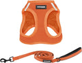 Best Pet Supplies Voyager Step-in Air All Weather Mesh Harness and Reflective Dog 5 ft Leash Combo with Neoprene Handle, for Small, Medium and Large Breed Puppies - Harness Leash Set (Orange), XXS
