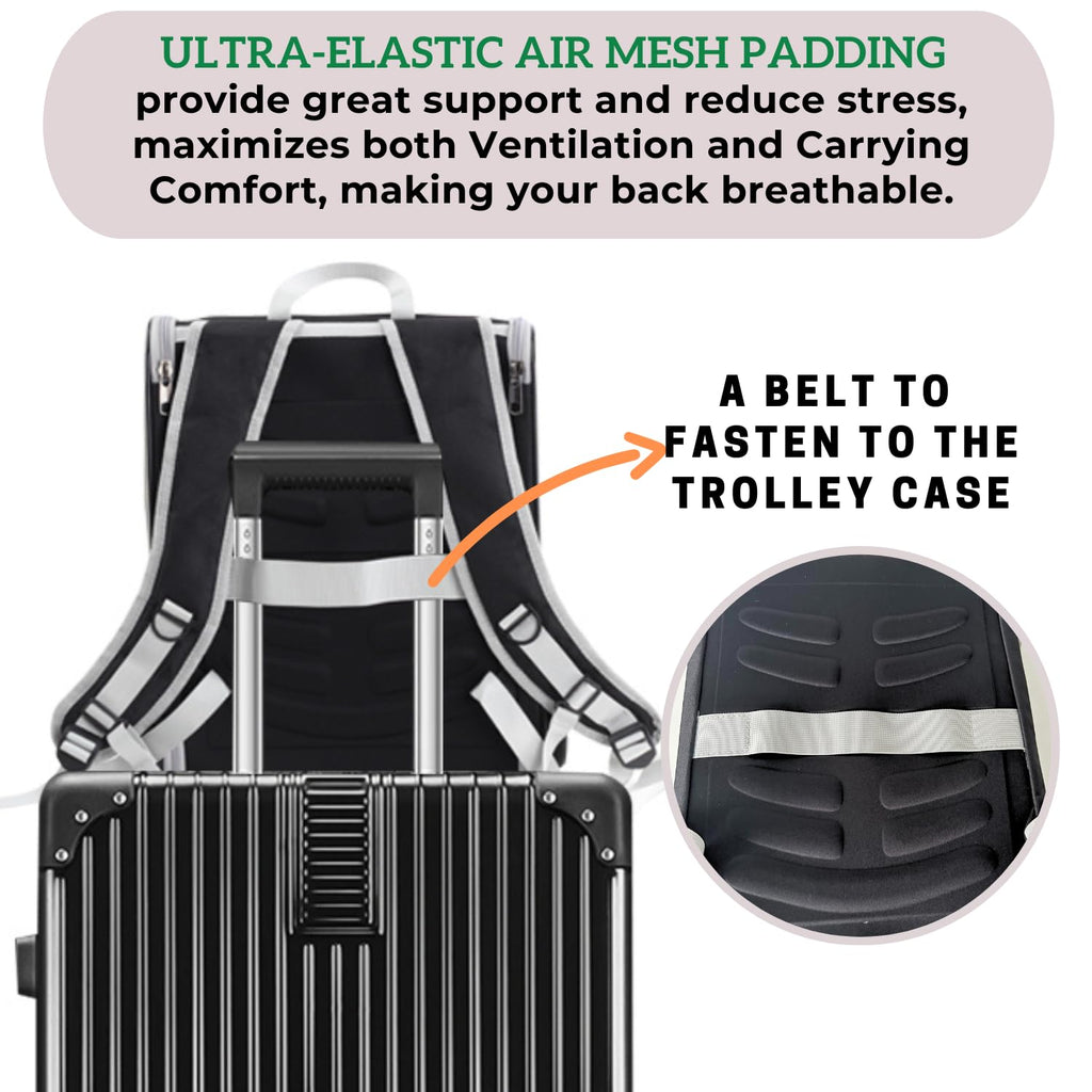 Lollimeow Cat Backpack Carrier, Ideal for Small Animals & Puppies, Airline Approved,Safe for Travel, Hiking, Vet Transport & Outdoor Use Fully Ventilated Design for Ultimate Comfort On-the-Go