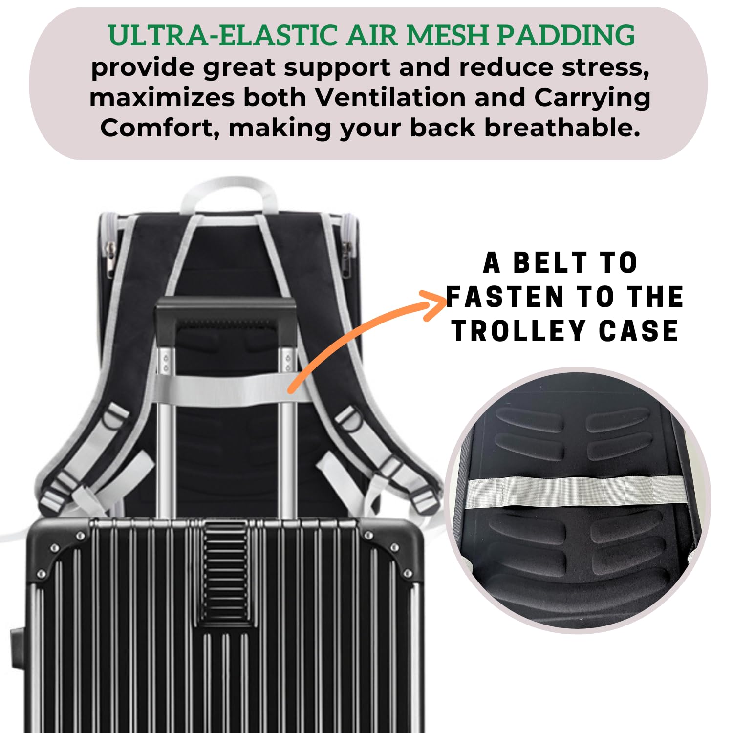 Lollimeow Cat Backpack Carrier, Ideal for Small Animals & Puppies, Airline Approved,Safe for Travel, Hiking, Vet Transport & Outdoor Use Fully Ventilated Design for Ultimate Comfort On-the-Go