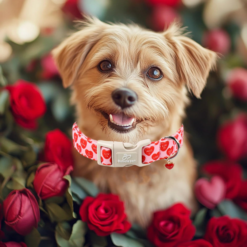 Babole Pet Valentines Dog Collar for Large Dogs - Valentine Red Conversation Hearts Dog Collars, Love Boy Girl Dogs Collars, Lightweight Adjustable Cute Puppy Collar with Quick-Release Buckle L