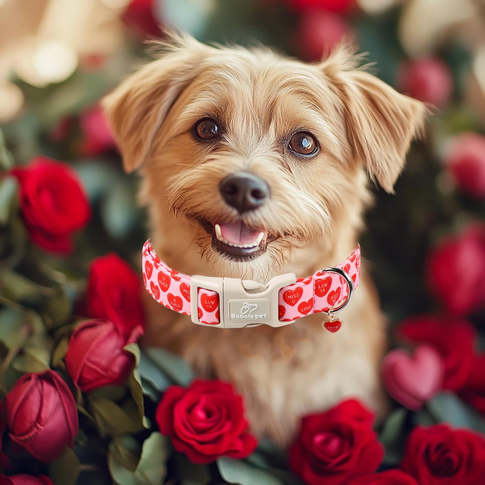 Babole Pet Valentines Dog Collar for Large Dogs - Valentine Red Conversation Hearts Dog Collars, Love Boy Girl Dogs Collars, Lightweight Adjustable Cute Puppy Collar with Quick-Release Buckle L