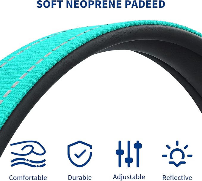 Reflective Dog Collar for Extra Small Dogs with Dog Tags Personalized & Quick Release Buckle, Adjustable and Comfortable Nylon Pet Collar, Mint Green
