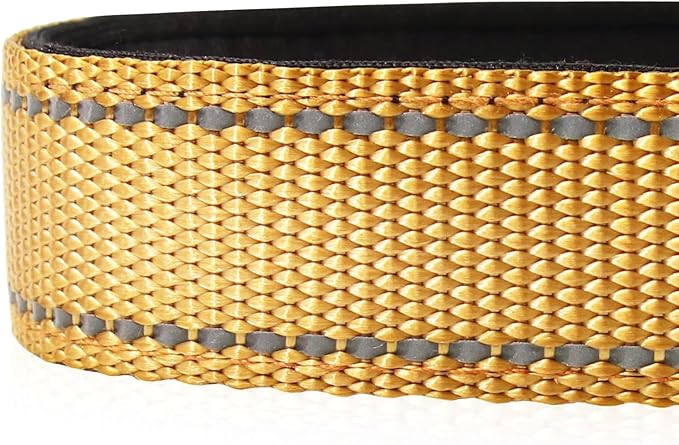 Joytale Reflective Dog Collar, Adjustable Neoprene Padded, Khaki S