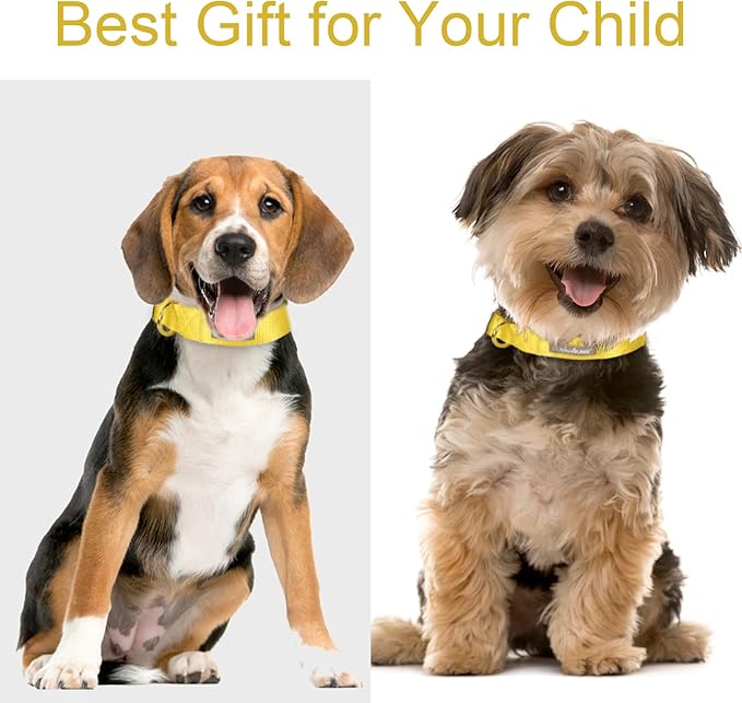 Babole Pet Nylon Dog Collar - Adjustable Yellow Soft Webbing Dog Collars for Small Medium Large Dogs Boy Girl Puppy Collar with Safety Metal Buckle S