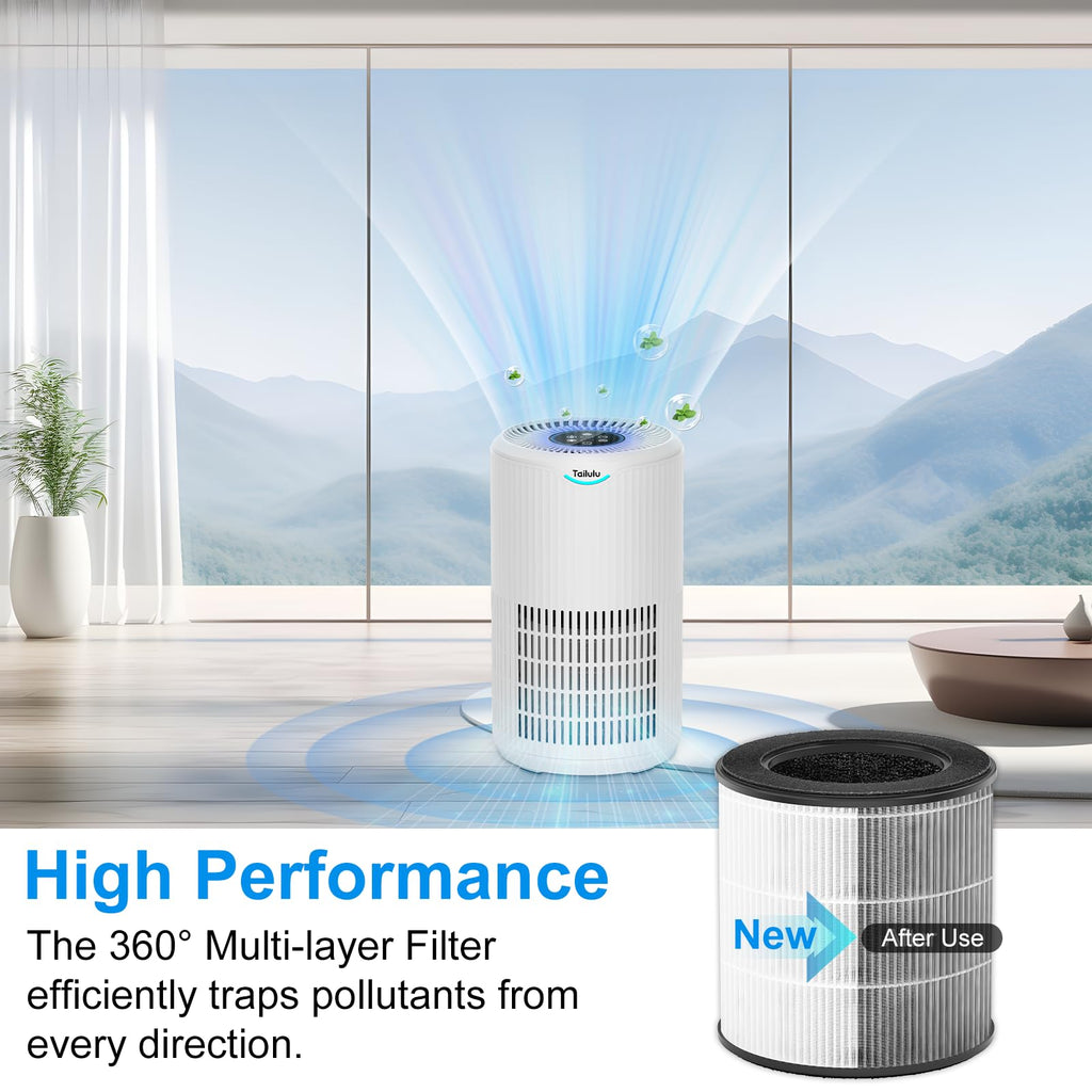 Tailulu Official D09 Air Purifier Replacement Filter, 1 Pack