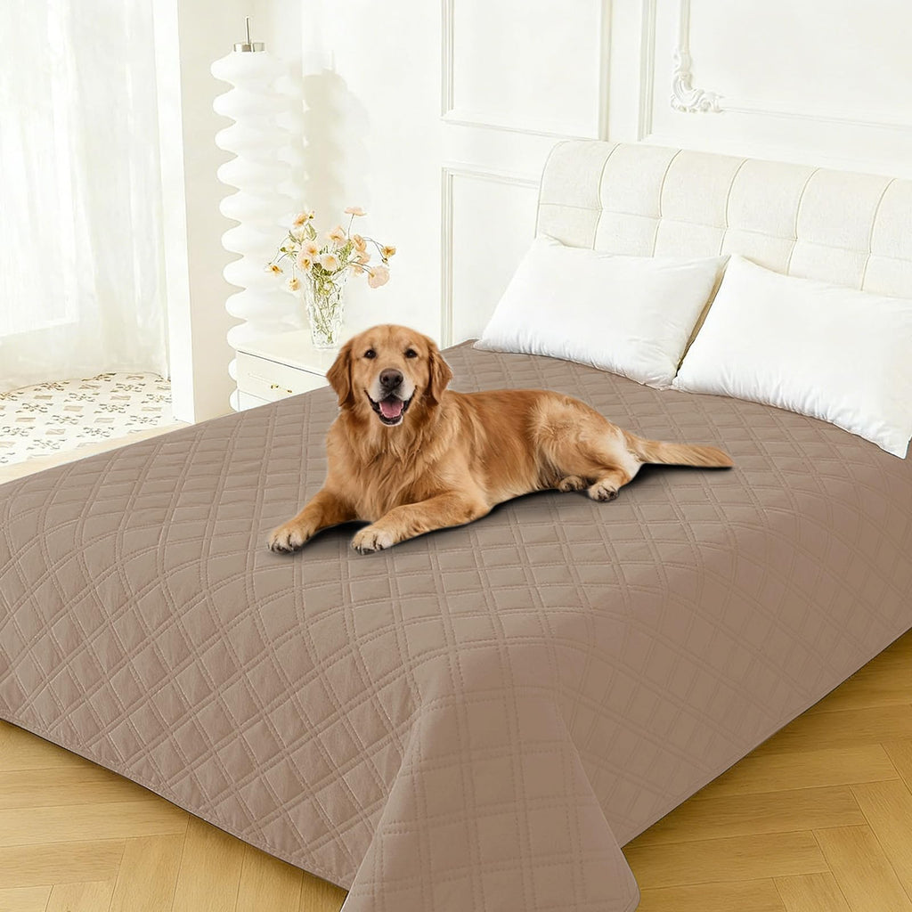CYCMACO Waterproof Dog Blanket, Non-Slip Soft Pet Bed Cover, Couch Cover for Dogs Washable, Protects Sofa, Furniture, Crate, Car, Tear Resistant Leakproof Pet Blanket (30x53 Inch, Khaki)