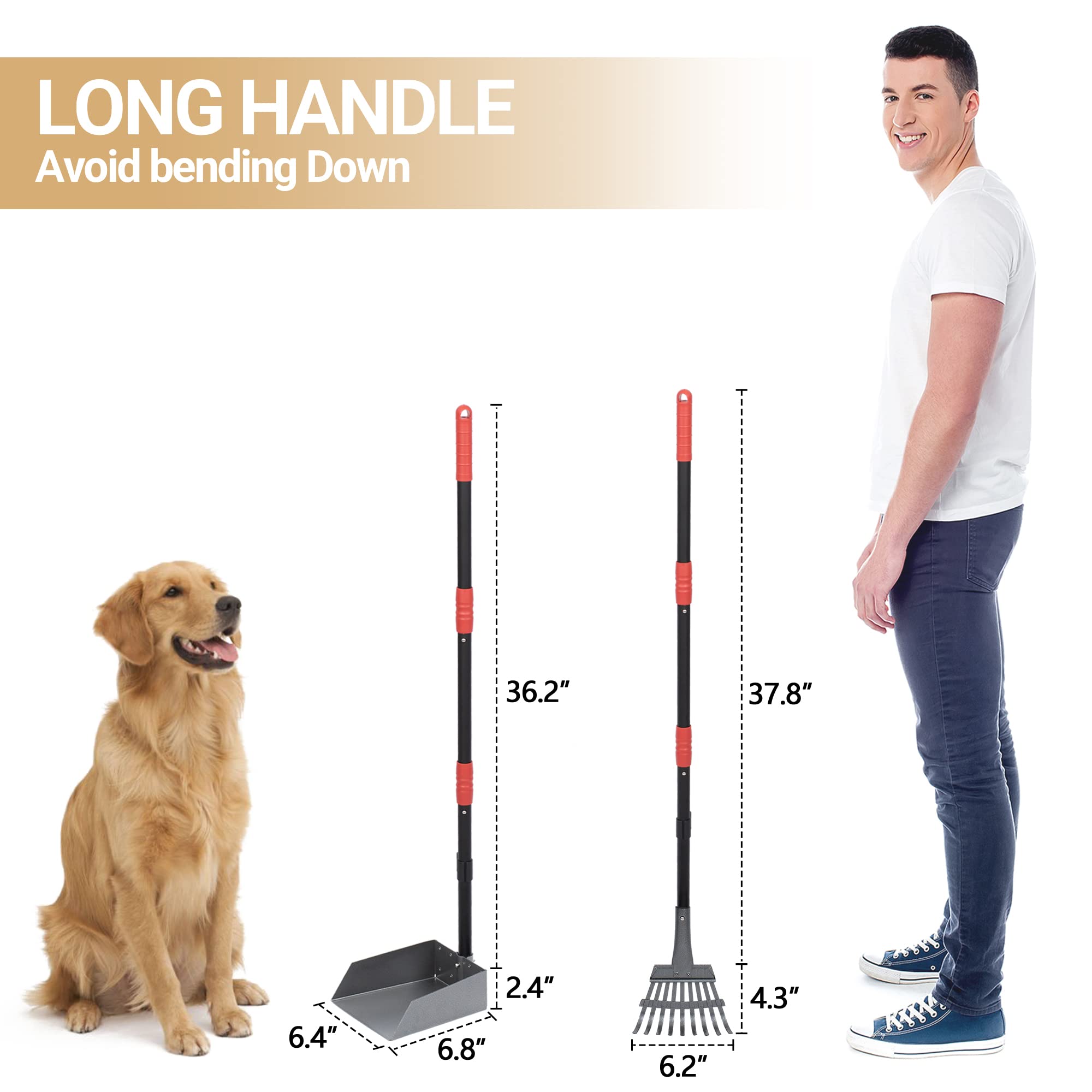 Dog Pooper Scooper, Dog Poop Tray and Rake Set with Long Stainless Handles