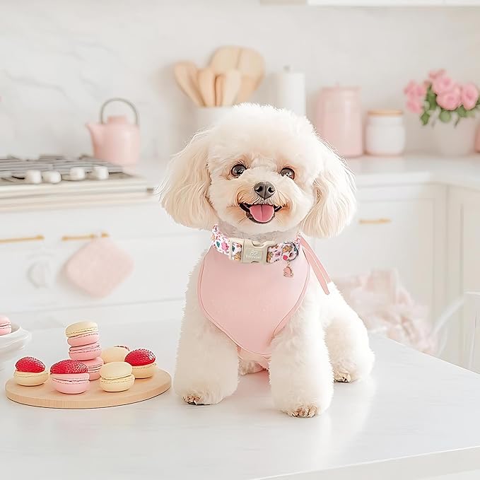 Babole Pet Cute Dinosaur Dog Collar, Adjustable Pink Dino Dog Collars for Large Dogs, Lightweight Quick-Release Buckle Birthday Collar for Boy&Girl Dogs L