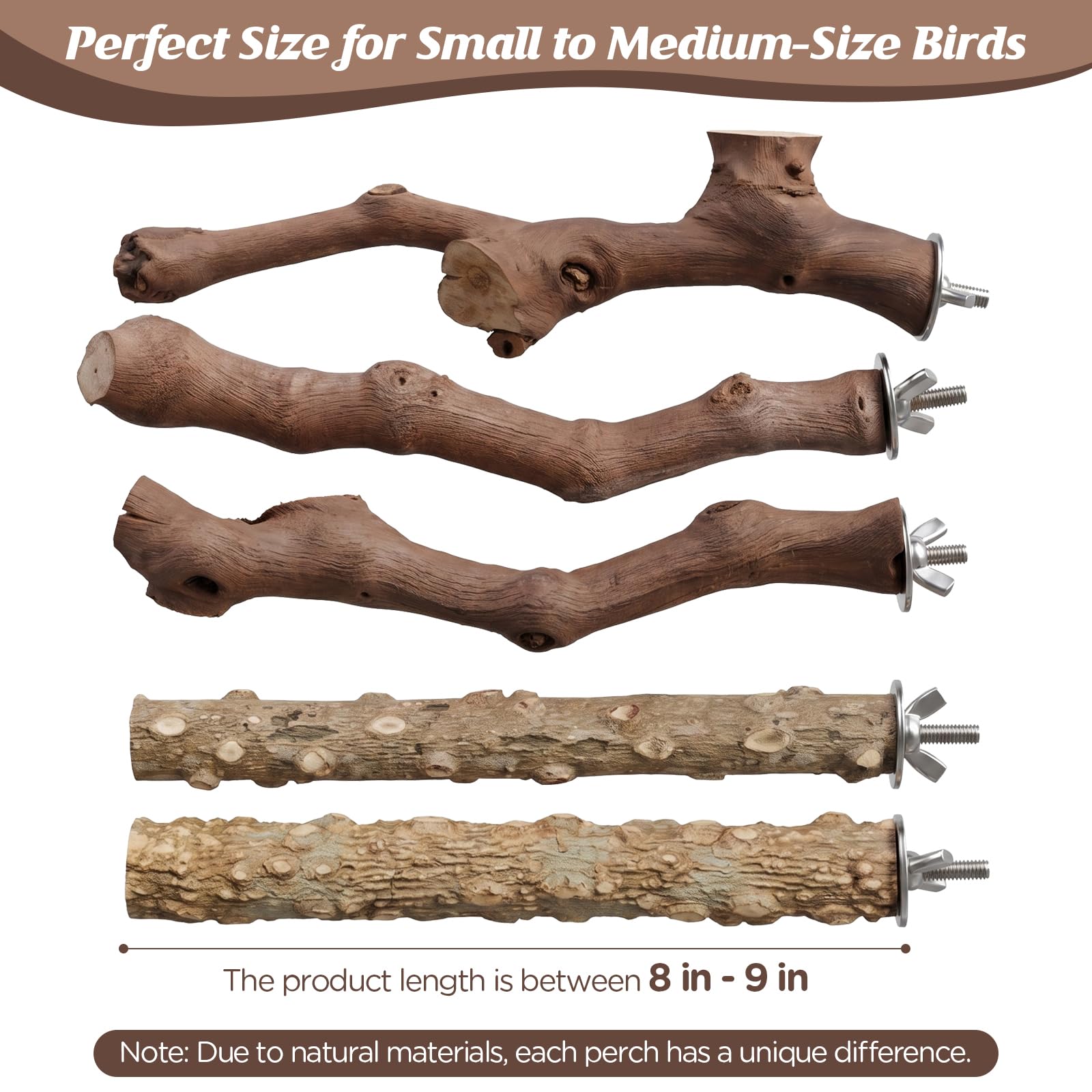 5PCS Bird Perch Stand Natural Wooden Parrot Stand Branch,3 Grape Wood Perch,2 Stand,Paw Grinding Fork Parakeet Chewing Stick Exercise Training Branches for Cockatiels,Small Medium Birds