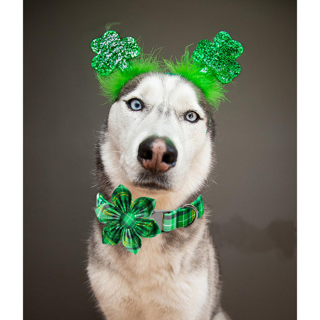 Lionheart glory St. Patrick's Day Dog Collar with Flower Dog Collar for Small Dogs, Green Plaid Cute Collars Spring Dogs Collars Flower Puppy Heavy Duty Cute