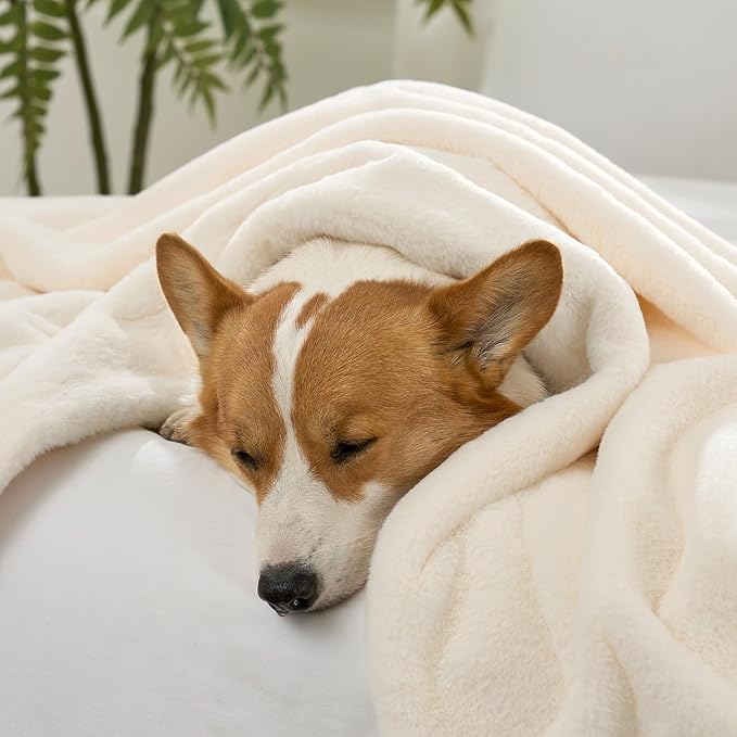 COZY KISS Waterproof Pet Blanket for Large Dog & Cat, 30x40 inch Cream
