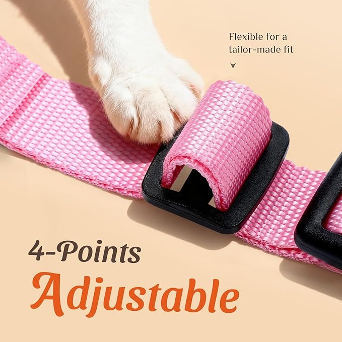 Dooradar Cat Harness and Leash Set, Adjustable and Escape Proof, Xs