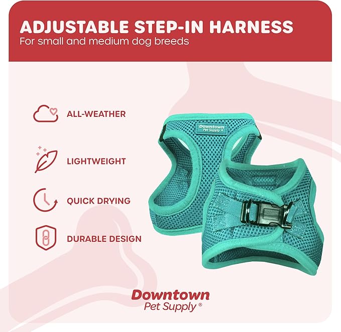 Downtown Pet Supply Step-in Dog Harness – No Pull, Adjustable Padded Mesh with Reflective Trim, Secure Buckle Strap – Comfortable & Breathable Small Dog Harness, Small, Bermuda Blue