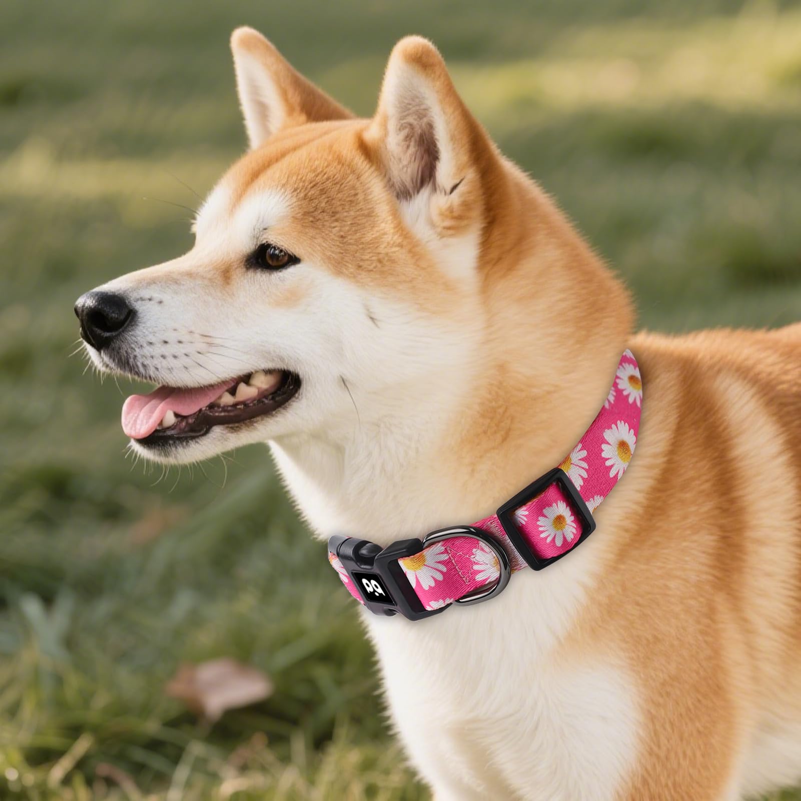 QQPETS Adjustable Soft Dog Collar: Print Flower Pink Multicolor Cute Patterns for XS Small Medium Large Pet Girl Boy Puppy Walking Running Training (XS, Small Daisies)