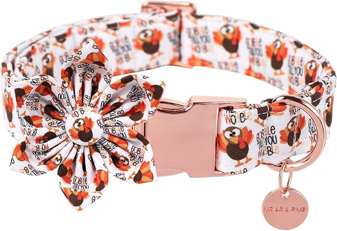 UP URARA PUP Thanksgiving Dog Collar with Flower, Turkey Cotton Flower Collar for Puppy Girl Dog or Cat, Autumn Flower Collar with Durable Metal Buckle, Thanksgiving Pet Collar, S, Neck 10-16in