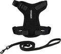 Voyager Escape-Proof Step-in Lock Cat Harness & 5ft Neoprene-Handle Leash Set All-Weather Mesh with Reflective Stitching for Small to Large Cats by Best Pet Supplies, Black, S