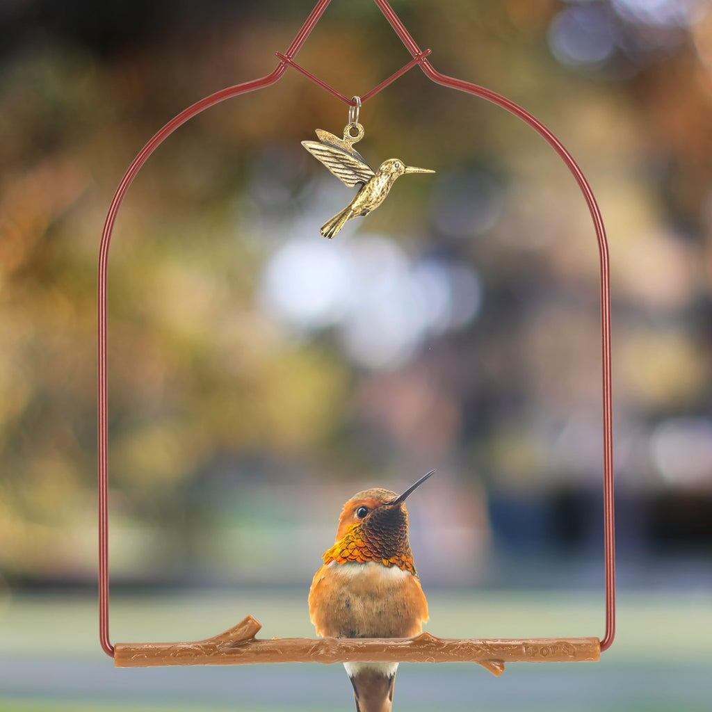 Pop's Birding Hummingbird Swing,USA Made Original Charm Humming Bird Swing for Outdoors - Perfect Bird Perch for Small Wild Birds Backyard Birding - 100% Made in USA, Hook Included