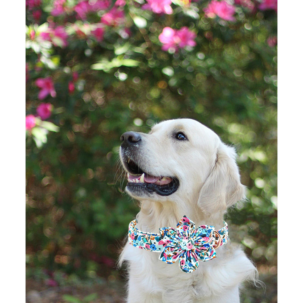 Lionheart glory Dog Collar Flowers Collar Floral Dog Collar with Flower Spring Summer Cute Collar Dog Boy or Girl Dog Collars Soft Durable Adjustable Dog Collars for Large Dogs