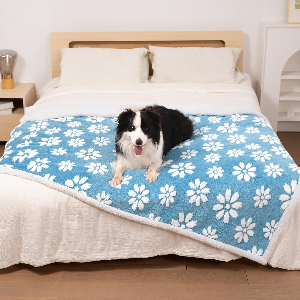 Yaning Cute Waterproof Blanket for Dog Puppy Cat, 30"x40", Purple