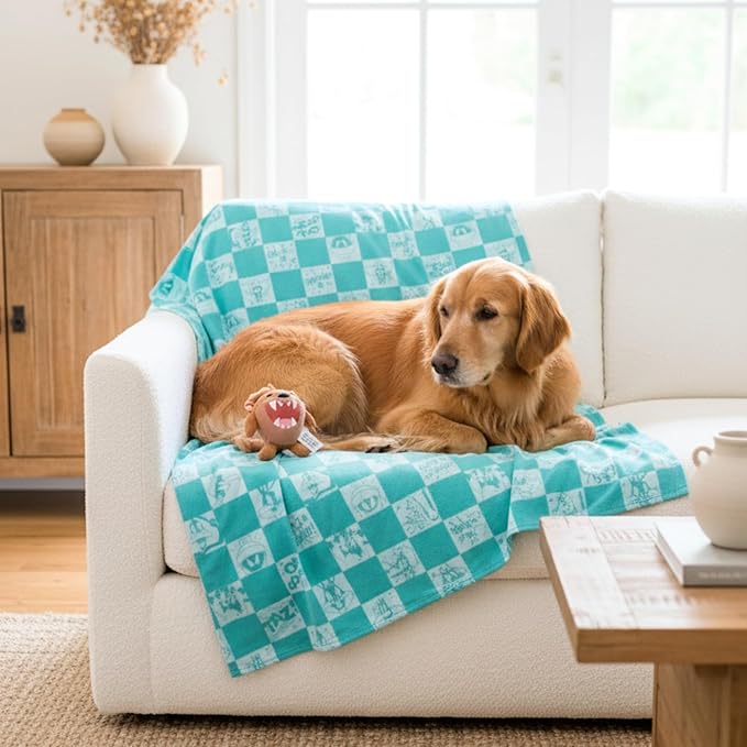 Barbie Waterproof Dog Bed Cover, Large 40x50 Pet Blanket for Furniture Bed Couch Sofa, (Officially Licensed) by Franco