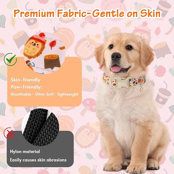 Astdogio Fall Woodland Dog Collar, Playful Squirrel & Pumpkin Print on White Collar for Small Medium Large Dogs, Breathable, Adjustable & Comfortable Puppy Collar for Fall Walks & Pet Photos-XS