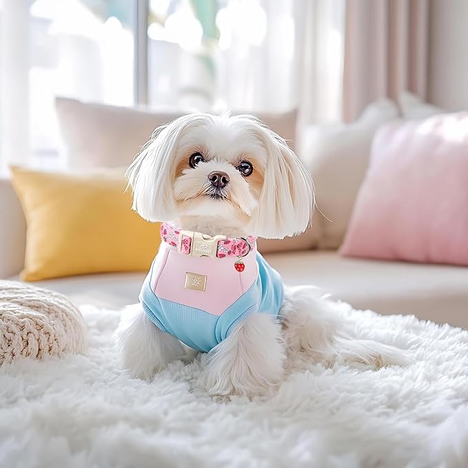 Babole Pet Strawberry Bow Dog Collar for Puppy Small Dogs - Cute Pink Spring/Summer Girl Dog Collars, Lightweight Adjustable Female Girly Dogs Collars with Quick Release Buckle XS