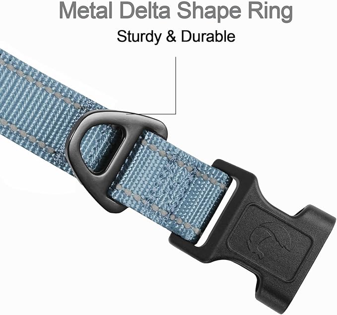 Joytale Reflective Dog Collar, Adjustable Neoprene Padded, Gray XL