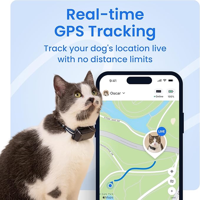 Tractive Smart Cat GPS Tracker with Free 6 Month Subscription | Real-Time Location & Wellness Monitoring for Cats 6.5 lbs+ | Territory & Location History | Up to 5-Day Battery (Mint)