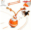 Interactive Dog Ball Toy for Small Dogs, Motion Activated Rolling Ball